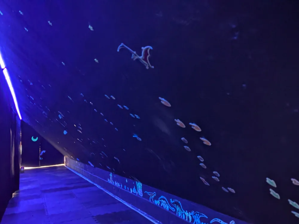 Leuchtende Entdeckerhöhle mit Dinos und Fledermaus im Schwarzlicht